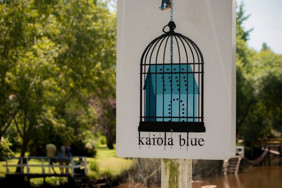 10670058_990717784289513_1488575335822607931_n